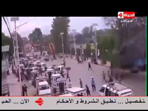 بالفيديو خوف الناس والطيور من زلزال ناتال