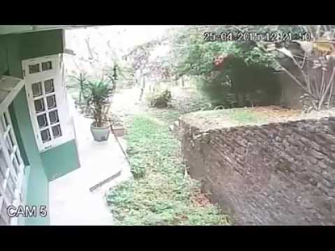 بالفيديو مقطع مصوّر يعرض لحظة وقوع زلزال نيبال