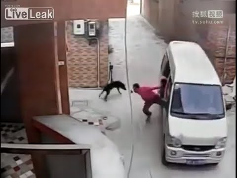 بالفيديو لحظة تنفيذ عملية اختطاف كلب في أحد الأحياء اليابانية