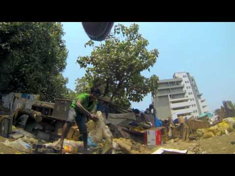 بالفيديو الرفق بالحيوان ترصد معاناة الكلاب الضالة في الهند