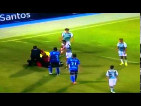 بالفيديو مشجع متهور يعتدي على حكم مكسيكي