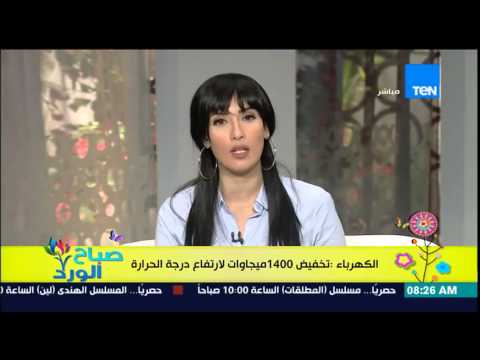 فيديو وزارة الكهرباء تؤكد تخفيض 1400 ميغاوات