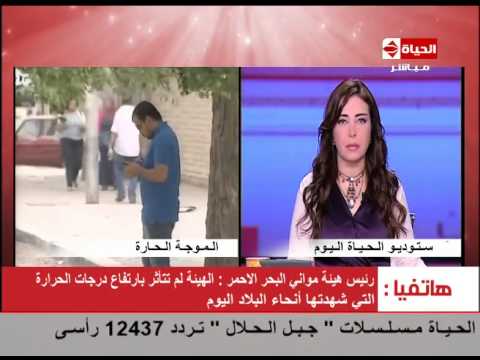 شاهد استمرار العمل في هيئة موانيء البحر الأحمر