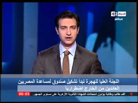 العليا للهجرة تقرّر تشكيل صندوق لمساعدة المصريين