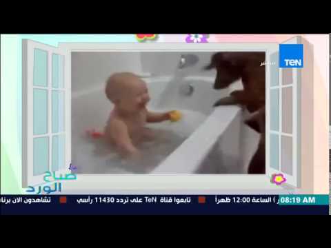 فيديو طفل يضحك بصورة هستيرية أثناء اللعب مع الكلب