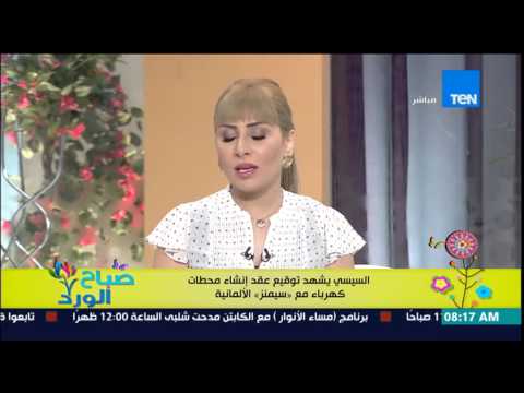 بالفيديو تفاصيل لقاءات الرئيس السيسى مع وزير الخارجية الألماني
