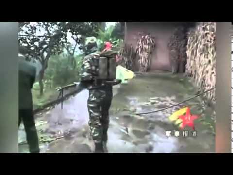 فيديو قرية تستنجد بالجيش الصيني لتدمير عش دبابير