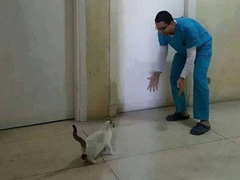 شاهد د منى مينا تكشف عن طبيعة حملة علشان لو جيه ميتفاجئش