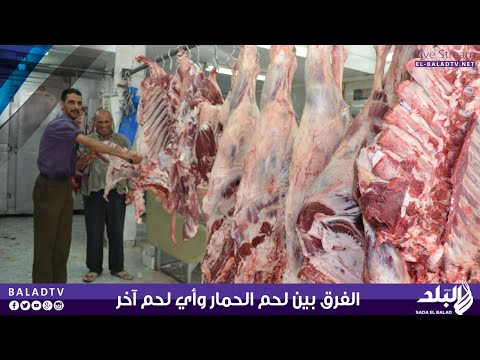 شاهد الفرق بين لحوم الحمير والحيوانات الأخرى