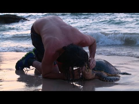 شاب ينقذ سلحفاة بحرية بالتنفس الصناعى فما لفم