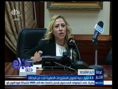 فيديو 46 مليارات جنيه لتمويل المشاريع الصغيرة