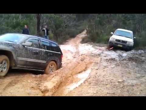 شاه جيب رباعي يسير بسرعة مذهلة فوق الماء