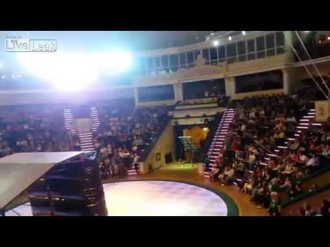 بالفيديو سقوط مروع للاعب سيرك أثناء تقديم فقرته