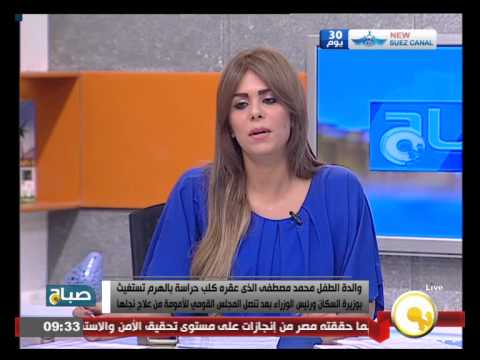 شاهد والدة الطفل ضحية كلب الهرم تستنجد بمحلب