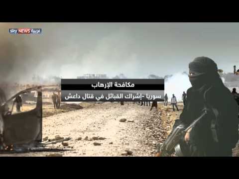 بالفيديو القبائل السورية ومواقفها من قتال تنظيم داعش