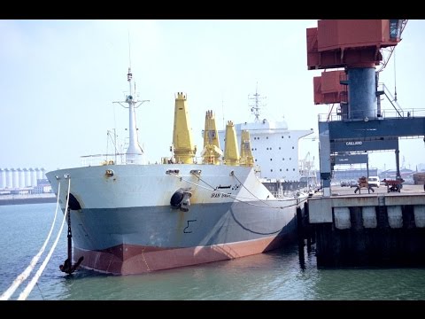 شاهد تطلعات بزيادة التبادل التجاري الإيراني مع الإمارات