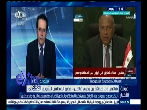شاهد تأكيد مصري سعودي على التوافق بشأن قضايا المنطقة