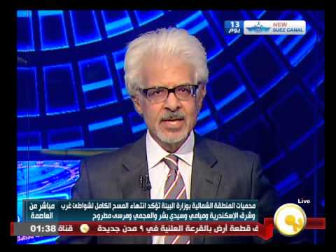 البيئة تنفي وجود أسماك قرش في الإسكندرية ومرسى مطروح