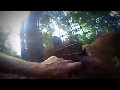 بالفيديو شاهد ماذا حدث لشاب أدخل يده في قفص الأسود