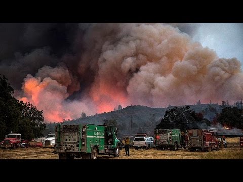 رجال الإطفاء في كاليفورنيا يخمدون حريق الغابات