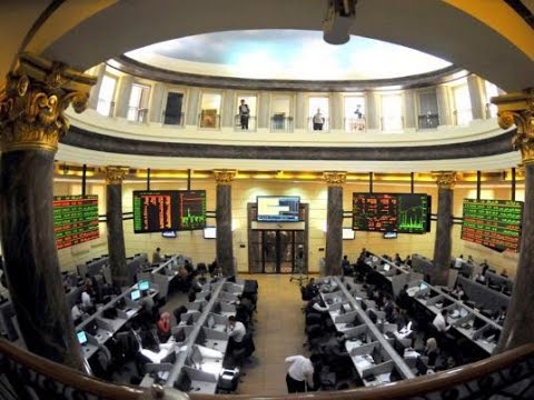 شاهد خبير يؤكد أن الفرصة متاحة للاستثمار طويل الأجل