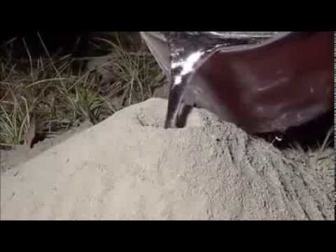 بالفيديو ألومنيوم سائل يكشف حقيقة مستعمرة النمل