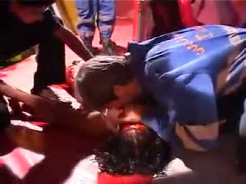 شاهد أسد يبكي في مشهد غريب بعد التهامه لمدربه