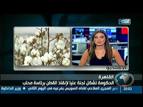 بالفيديو الحكومة تشكل لجنة عليا لإنقاذ القطن