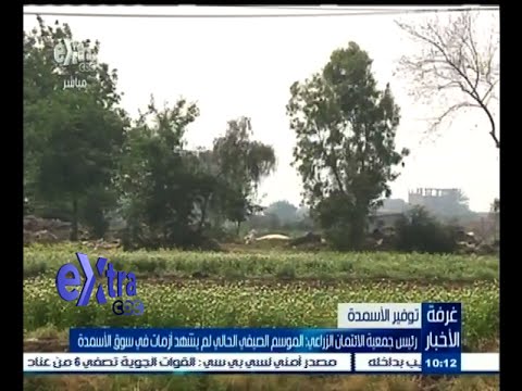 شاهد رئيس جمعية الائتمان الزراعي يؤكد أن الموسم الصيفي لم يشهد أزمات