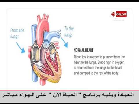 شاهد توضيح لتكوين القلب والأذينين