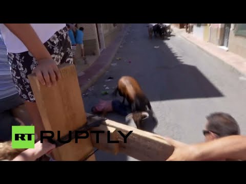 شاهد شخصان يشوهان أثناء فعالية الثيران الراكضة في أسبانيا