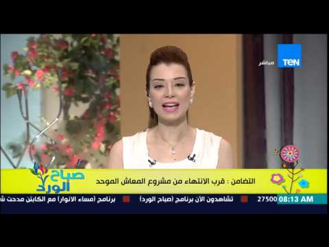 شاهد التضامن تعلن عن قرب الانتهاء من قانون المعاش الموحد