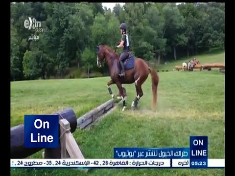 شاهد حصان يتخطى الحواجز بطريقته الخاصة