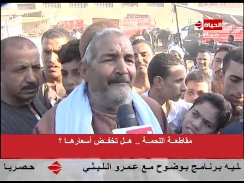 بالفيديو خبراء يناقشون فوائد مقاطعة اللحوم