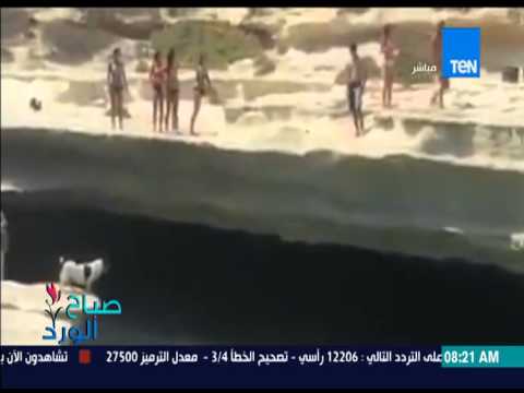 بالفيديو كلب يقفز في الماء بعد مشاهدة بعض السياح وهم يقفزون