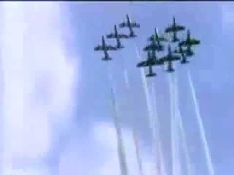 حادث مروّع يُثير رعب الحضور أثناء عرض جوي