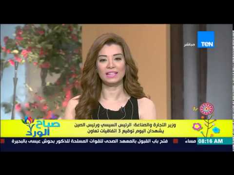 الرئيس السيسى ونظيره الصيني يشهدان توقيع 3 اتفاقيات تعاون