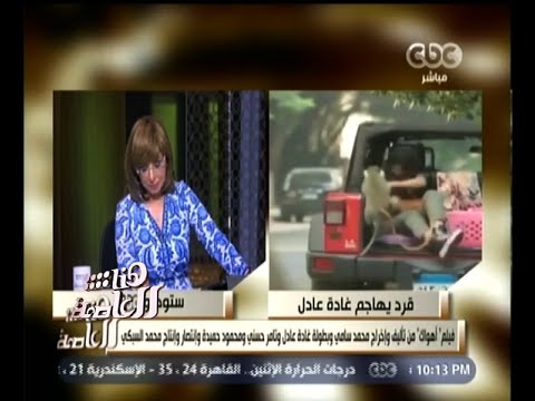 شاهد الفنانة غادة عادل بخير وفيلم أهواك سيطرح في العيد