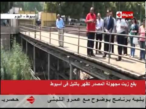 شاهد بقع زيت مجهولة المصدر تظهر في النيل
