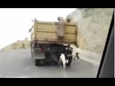 بالفيديو رجلان يتسلقان سيارة مسرعة