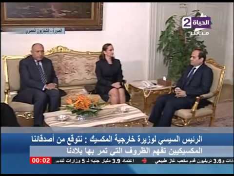 بالفيديو السيسي يطالب لوزيرة خارجية المكسيك بتفهم ظروف البلاد