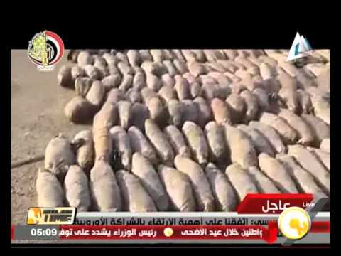 شاهد القبض على أكثر من 700 أثناء تسللهم بطريقة غير شرعية