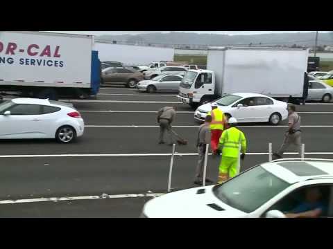 شاهد دجاجة تتسبب بازدحام مروري في موقف طريف جدًا