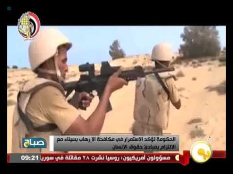 الحكومة تؤكد الاستمرار في مكافحة الإرهاب في سيناء