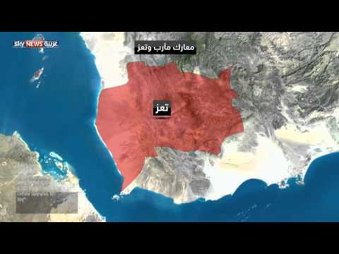 شاهد قوات الشرعية تسيطر على تلال حاكمة في مأرب