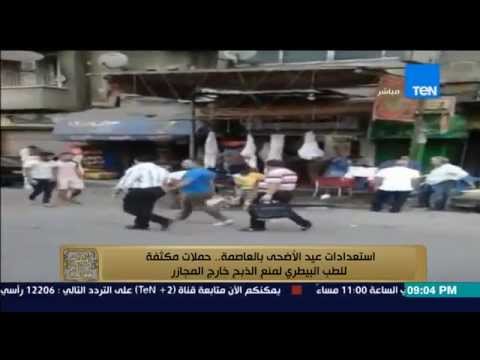 شاهد حملات مكثفة للطب البيطري لمنع الذبح خارج المجازر