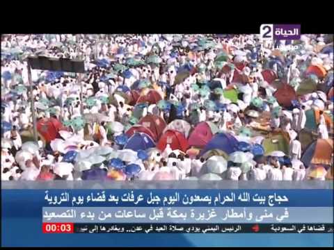 شاهد ملايين الحجاج على صعيد عرفات بينهم 65 ألف مصري