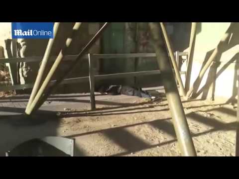 شاهد جندي اسرائيلي يجر طالبة فلسطينية بعد قتلها ويكشف نقابها
