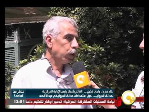 شاهد استعدادات حديقة الحيوان في الجيزة خلال العيد