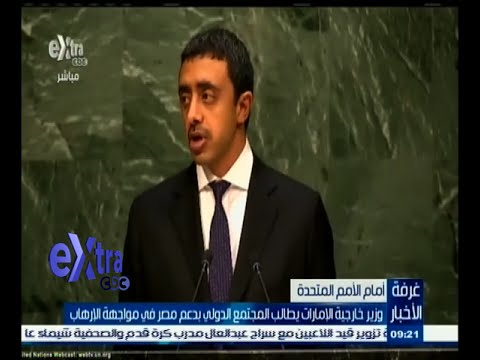 وزير خارجية الإمارات يطالب المجتمع الدولي بدعم مصر في مواجهة الإرهاب